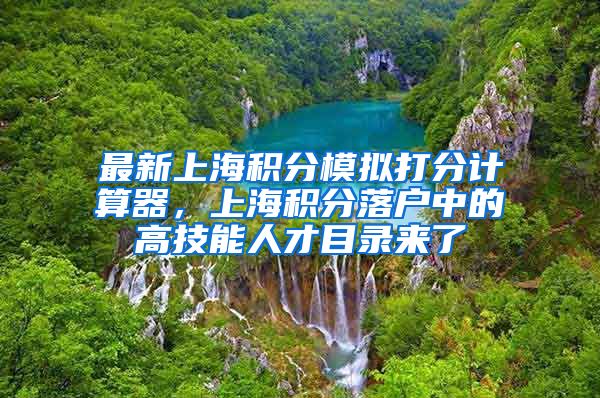 最新上海积分模拟打分计算器，上海积分落户中的高技能人才目录来了