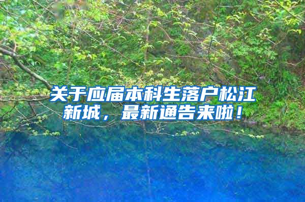 关于应届本科生落户松江新城，最新通告来啦！