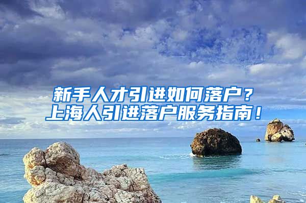 新手人才引进如何落户？上海人引进落户服务指南！