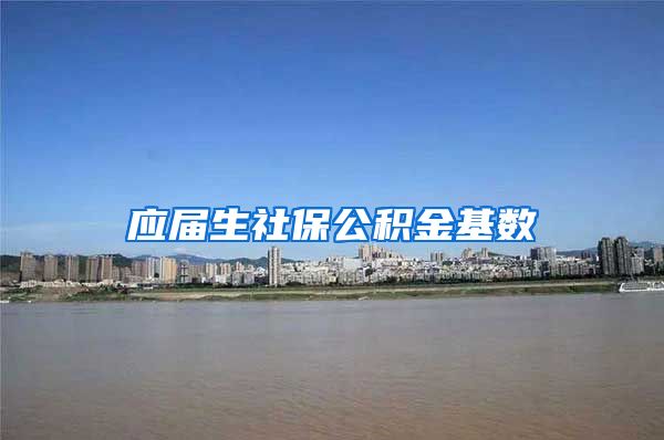 应届生社保公积金基数