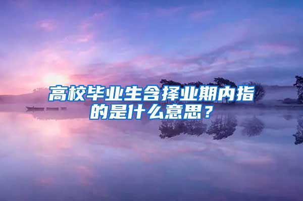 高校毕业生含择业期内指的是什么意思？