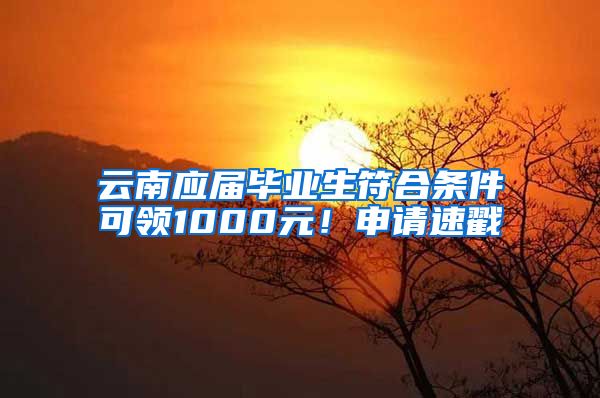 云南应届毕业生符合条件可领1000元！申请速戳→