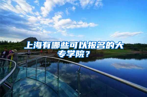 上海有哪些可以报名的大专学院？