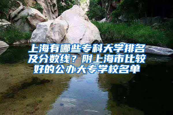 上海有哪些专科大学排名及分数线？附上海市比较好的公办大专学校名单