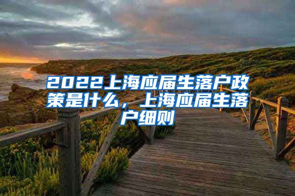 2022上海应届生落户政策是什么，上海应届生落户细则