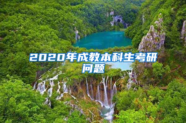 2020年成教本科生考研问题