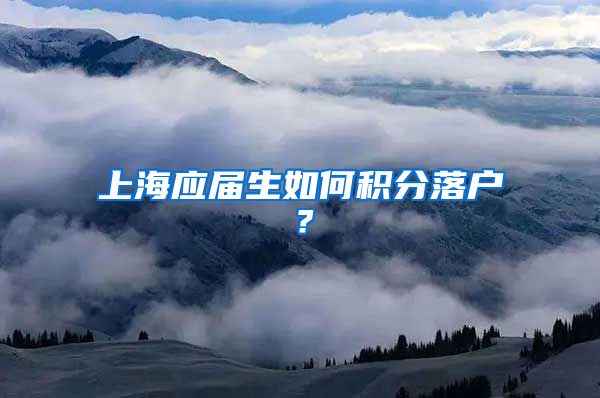 上海应届生如何积分落户？