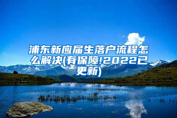 浦东新应届生落户流程怎么解决(有保障!2022已更新)