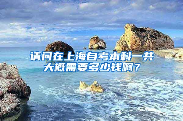 请问在上海自考本科一共大概需要多少钱啊？