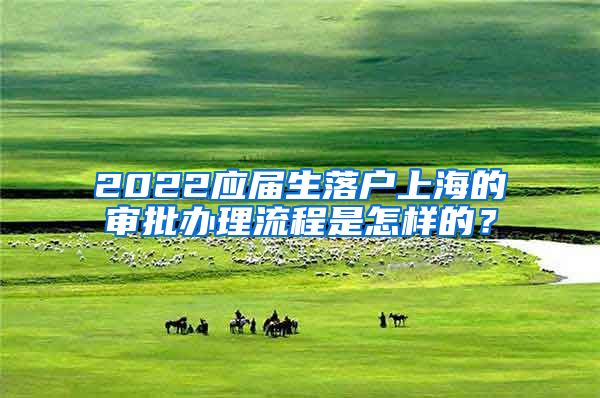 2022应届生落户上海的审批办理流程是怎样的？