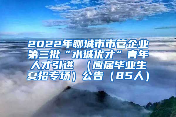 2022年聊城市市管企业第三批“水城优才”青年人才引进 （应届毕业生夏招专场）公告（85人）