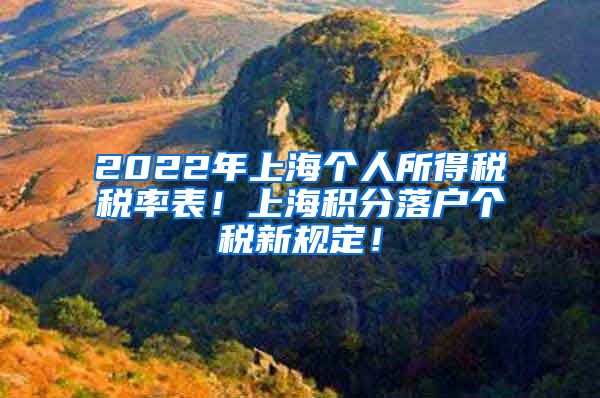 2022年上海个人所得税税率表！上海积分落户个税新规定！