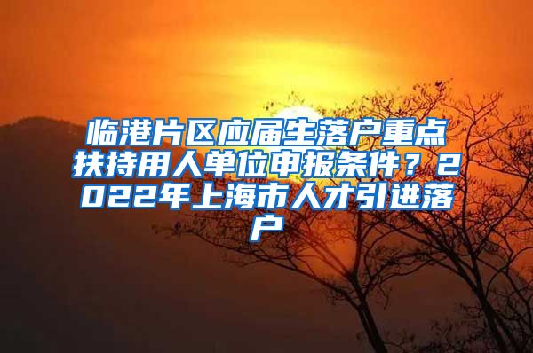 临港片区应届生落户重点扶持用人单位申报条件？2022年上海市人才引进落户