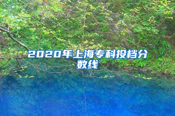 2020年上海专科投档分数线