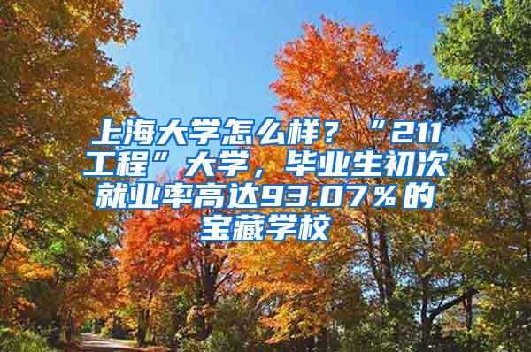 上海大学怎么样？“211工程”大学，毕业生初次就业率高达93.07％的宝藏学校