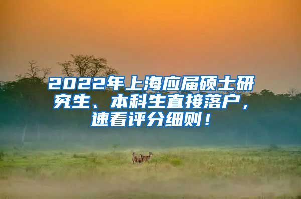 2022年上海应届硕士研究生、本科生直接落户，速看评分细则！