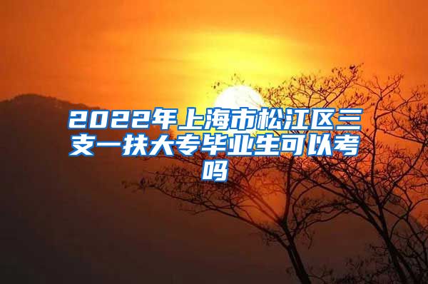 2022年上海市松江区三支一扶大专毕业生可以考吗