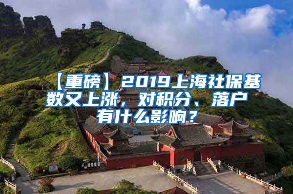 【重磅】2019上海社保基数又上涨，对积分、落户有什么影响？