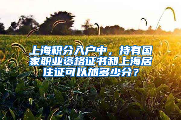 上海积分入户中，持有国家职业资格证书和上海居住证可以加多少分？