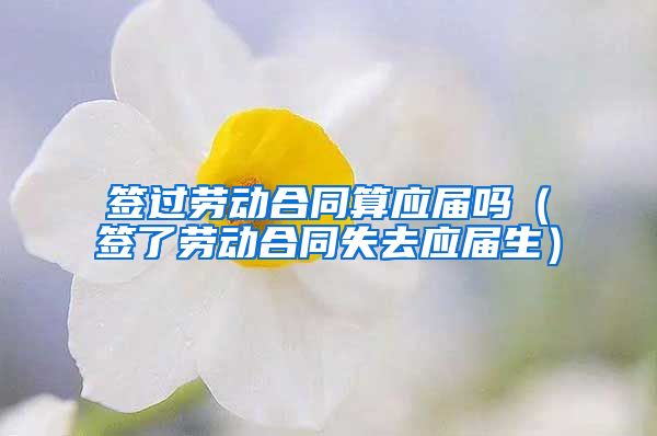 签过劳动合同算应届吗（签了劳动合同失去应届生）