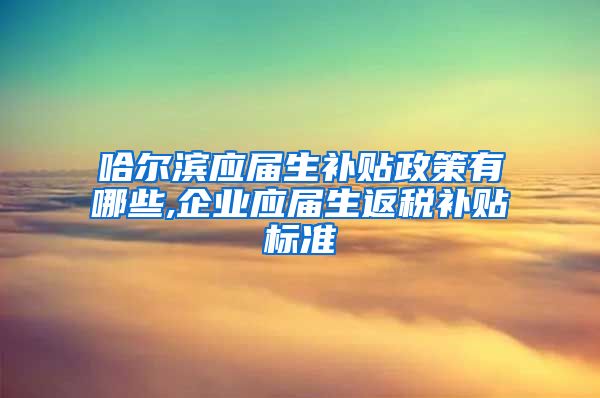 哈尔滨应届生补贴政策有哪些,企业应届生返税补贴标准