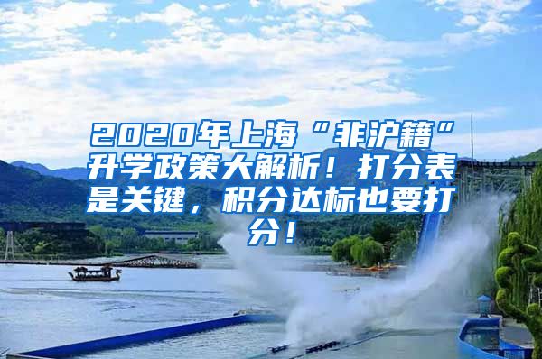 2020年上海“非沪籍”升学政策大解析！打分表是关键，积分达标也要打分！