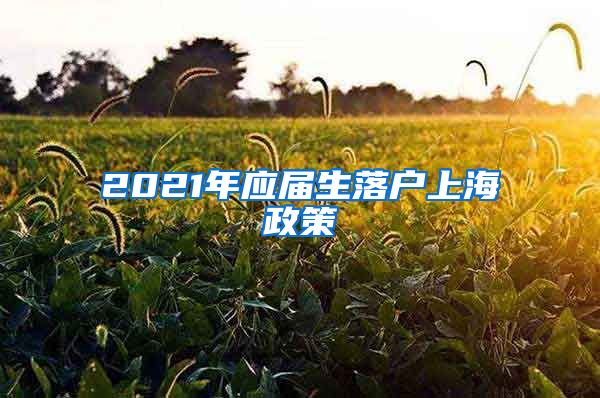 2021年应届生落户上海政策