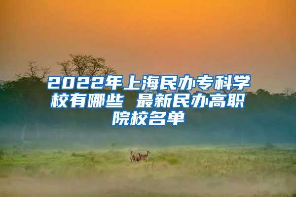 2022年上海民办专科学校有哪些 最新民办高职院校名单