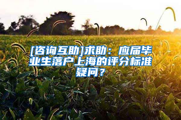 [咨询互助]求助：应届毕业生落户上海的评分标准疑问？