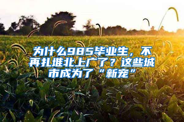 为什么985毕业生，不再扎堆北上广了？这些城市成为了“新宠”