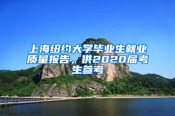 上海纽约大学毕业生就业质量报告，供2020届考生参考