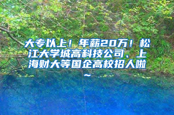 大专以上！年薪20万！松江大学城高科技公司、上海财大等国企高校招人啦~