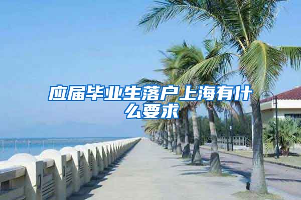 应届毕业生落户上海有什么要求