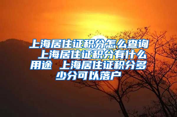 上海居住证积分怎么查询 上海居住证积分有什么用途 上海居住证积分多少分可以落户