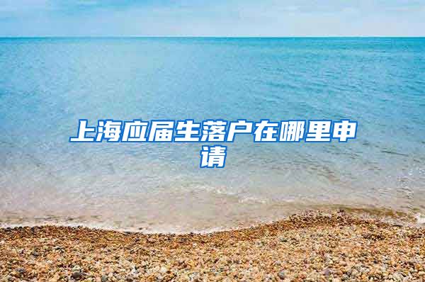 上海应届生落户在哪里申请