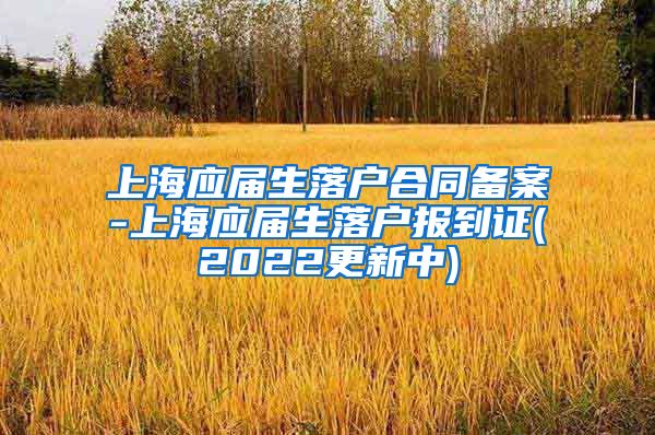 上海应届生落户合同备案-上海应届生落户报到证(2022更新中)