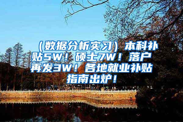 （数据分析实习）本科补贴5W！硕士7W！落户再发3W！各地就业补贴指南出炉！