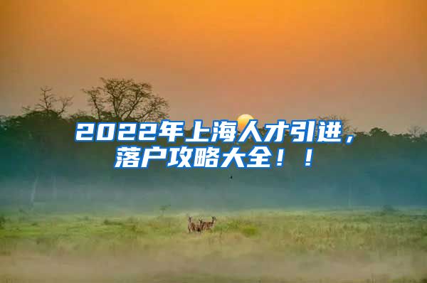 2022年上海人才引进，落户攻略大全！！