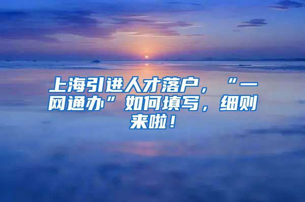 上海引进人才落户，“一网通办”如何填写，细则来啦！