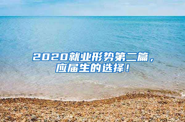 2020就业形势第二篇，应届生的选择！