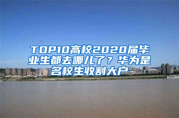 TOP10高校2020届毕业生都去哪儿了？华为是名校生收割大户