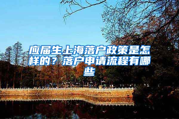 应届生上海落户政策是怎样的？落户申请流程有哪些