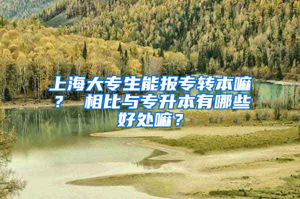 上海大专生能报专转本嘛？ 相比与专升本有哪些好处嘛？