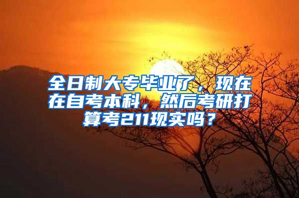 全日制大专毕业了，现在在自考本科，然后考研打算考211现实吗？