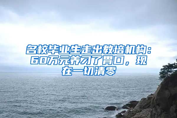 名校毕业生走出教培机构：60万元养刁了胃口，现在一切清零