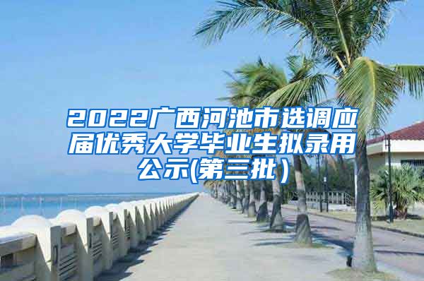 2022广西河池市选调应届优秀大学毕业生拟录用公示(第三批）