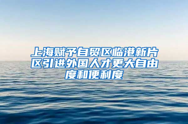 上海赋予自贸区临港新片区引进外国人才更大自由度和便利度