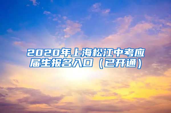 2020年上海松江中考应届生报名入口（已开通）