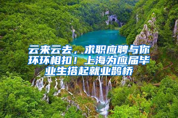 云来云去，求职应聘与你环环相扣！上海为应届毕业生搭起就业鹊桥