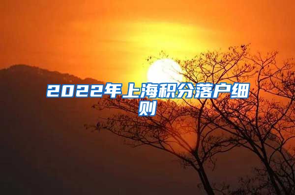 2022年上海积分落户细则